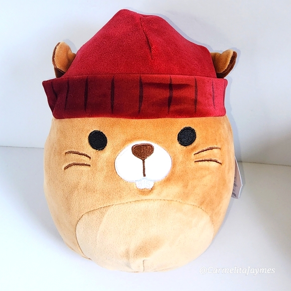 🍁 HARVEST SQUAD 🍁 Full Set Of 8 Harvest Squad 7.5 inch 2023 Squishmallows NWT - Picture 3 of 9